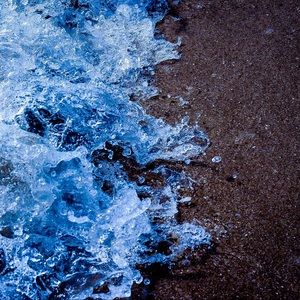 Meet your Posher, Brayden